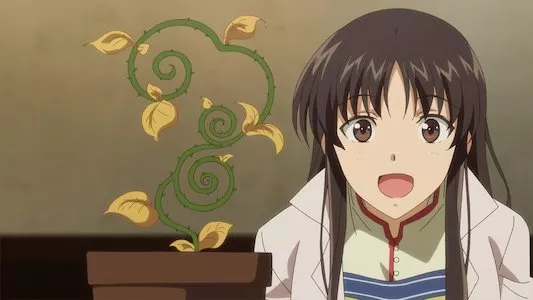 Image Seijo no Maryoku wa Bannou desu 1