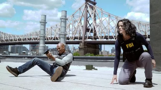 Image Blindspot 2