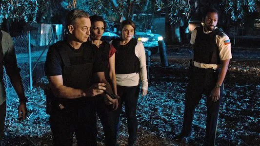 Image Criminal Minds: Beyond Borders 13