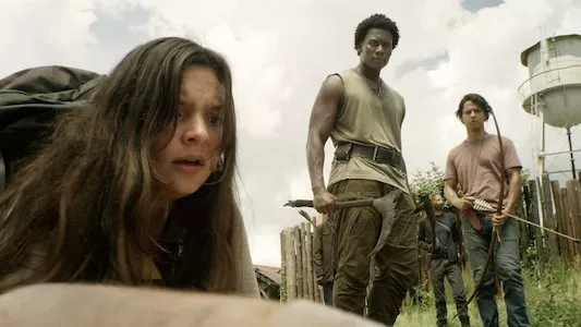 Image The Walking Dead 13