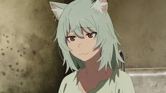 Image Chainsmoker Cat 9