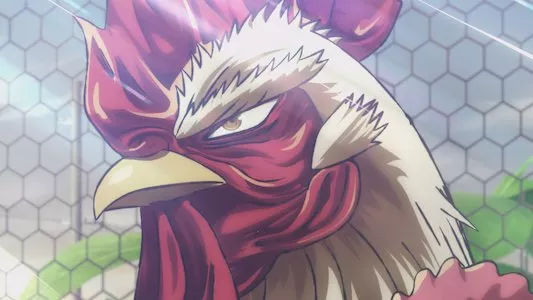 Image Rooster Fighter 1