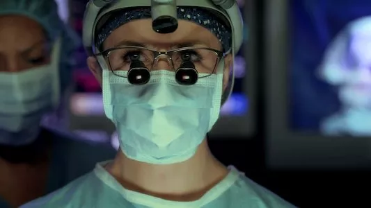 Image Anatomia de Grey 14
