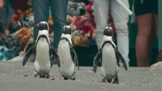 Image Colonia Pinguinos (Penguin Town) 1