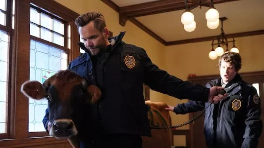 Image Animal Control 5
